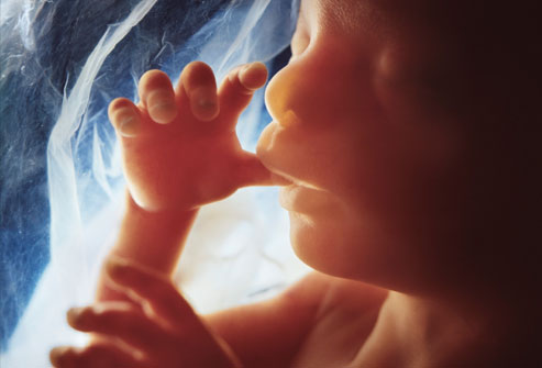 Abortion is not politics. It’s murder.